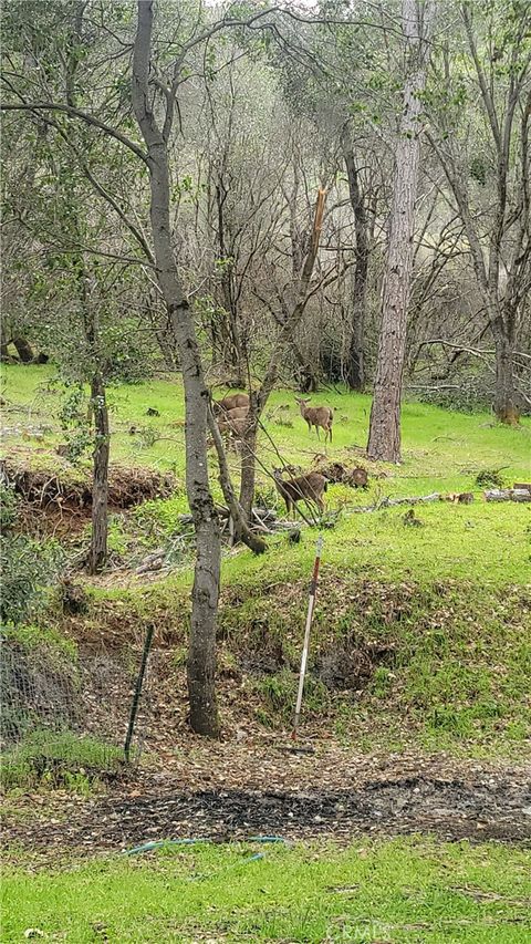 A home in Kelseyville