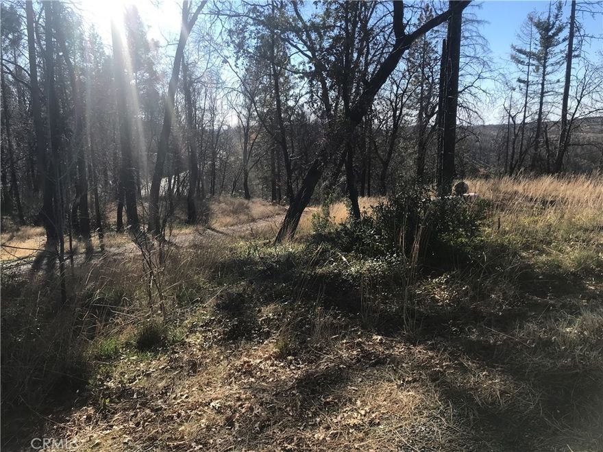 mostly level property with a water well