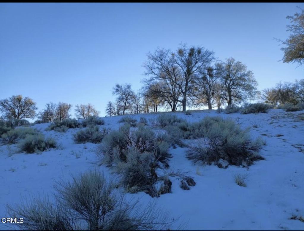 Beautiful buildable lot in the Alpine Forest Community, stay & relax in the Mountains of the peaceful valley of Tehachapi CA .Water and power on the property line.
