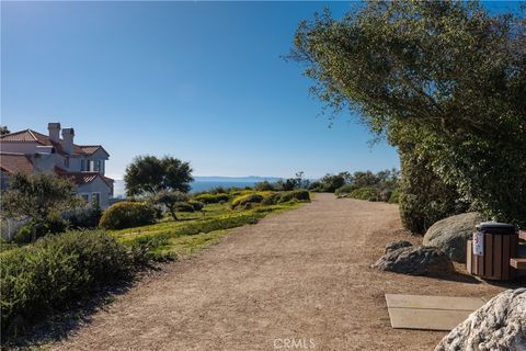 A home in Laguna Niguel