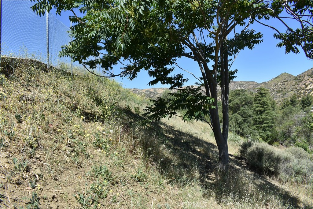 0 off off San Martinez Rd