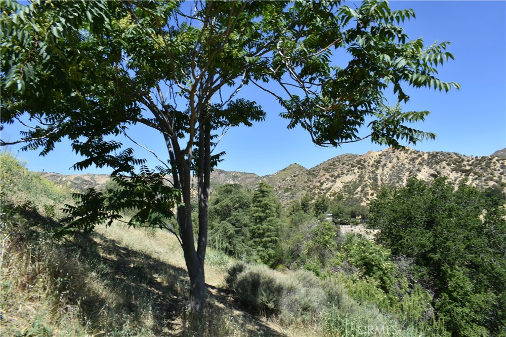0 off off San Martinez Rd
