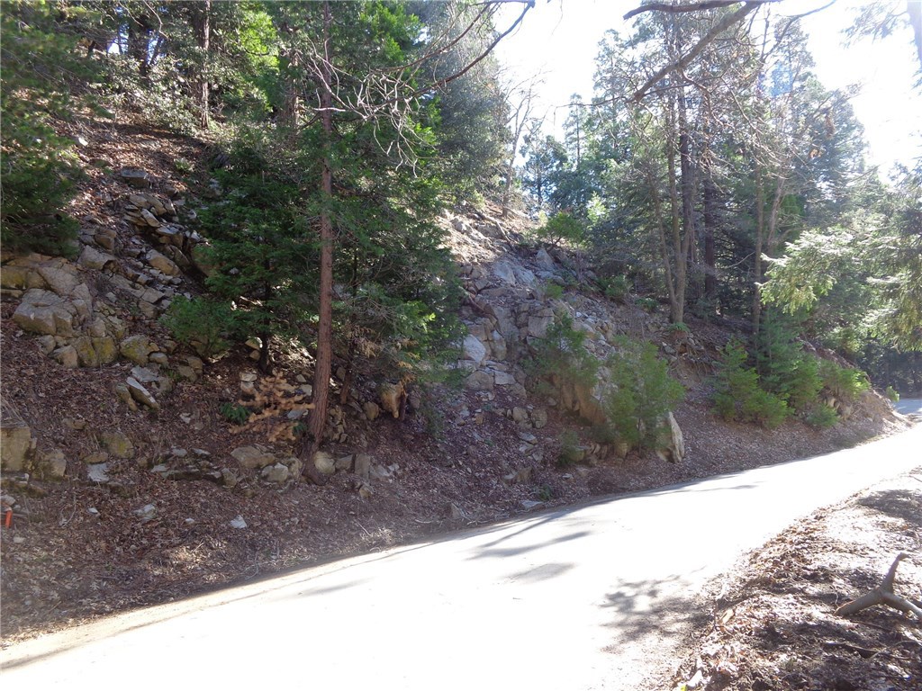 Large up sloping lot with almost 200 feet of road frontage. Situated close to Lake Gregory. Flat spot part way up the slope offers possible building opportunity. Don't be shy, check it out today. Property starts approximately 115 to the right of 1001 Balfrin. All reasonable offers will be considered.