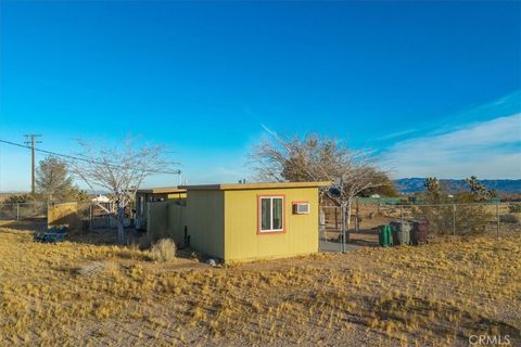 A home in Joshua Tree