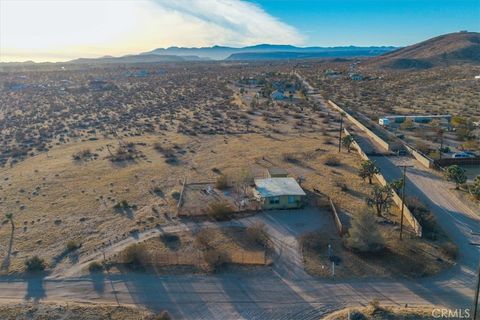 A home in Joshua Tree