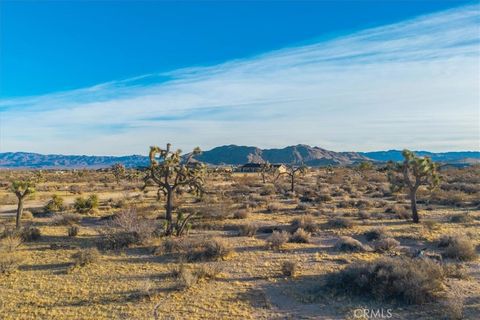 A home in Joshua Tree