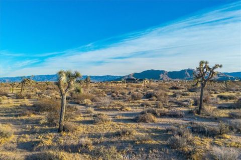 A home in Joshua Tree