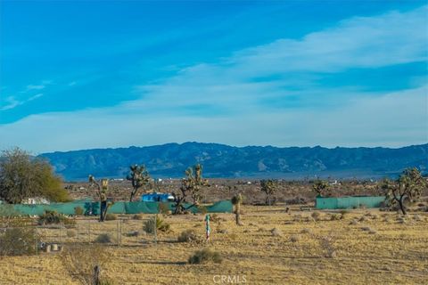 A home in Joshua Tree