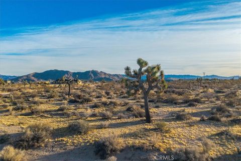 A home in Joshua Tree