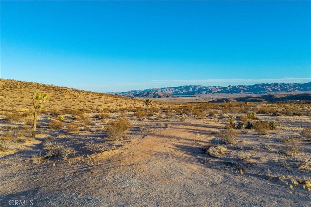 listing image 130725204252995009463