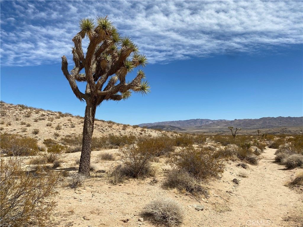 listing image 130729101495945299771