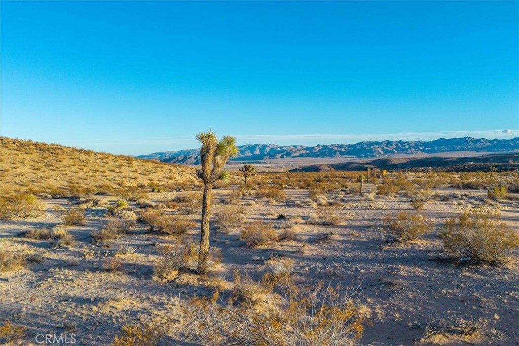 listing image 130724395598622199223