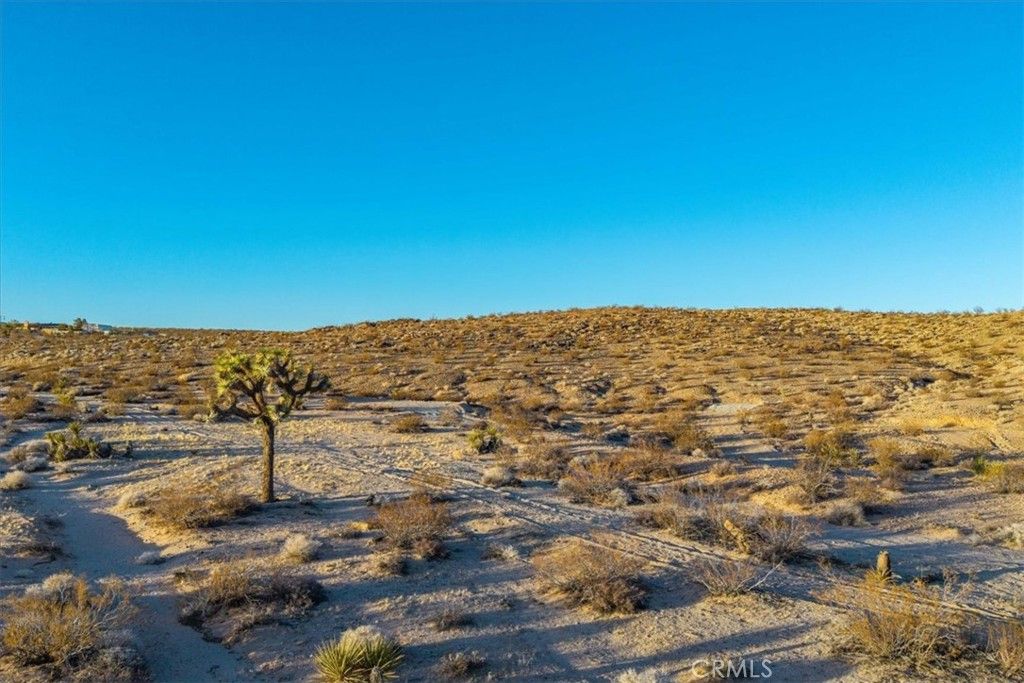 listing image 130723953272278103821