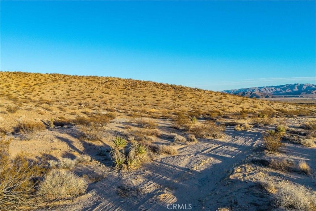 listing image 130720085942728267526