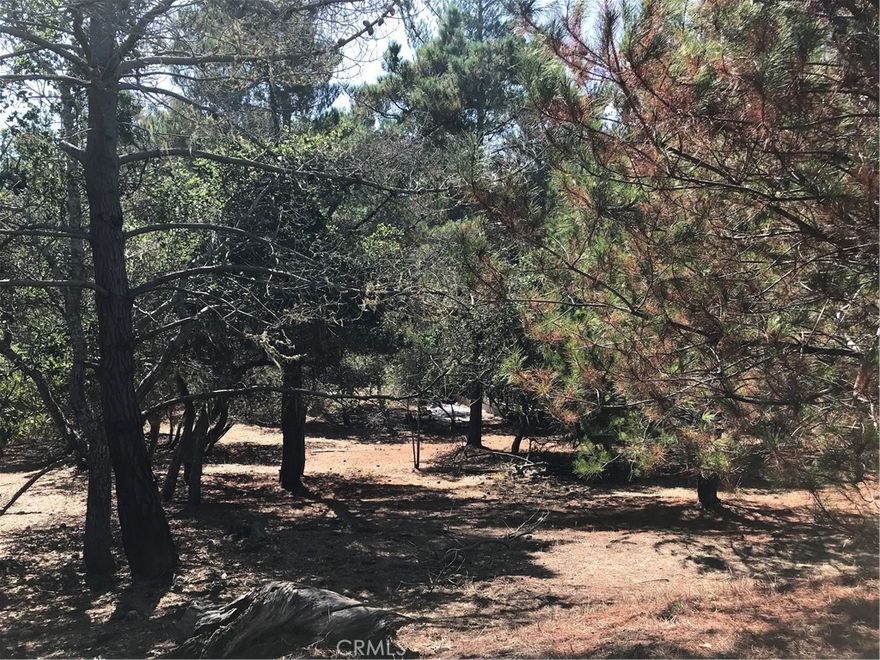 Rural and quiet part of Lodge Hill. Lots of wildlife, oaks & pines. West of Highway One & not far to the beach or ranch trails. #361 on CCSD water wait list. This is a double lot 4100+-sqft, 50'x 82.50' on a gentle down slope. Buy and hold for now until the current building moratorium for new construction is lifted. Check CCSD and county websites (cambriacsd.org & slocounty.ca.gov) for info on the moratorium & allowable uses for property. Offered for $39,000.