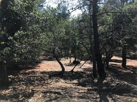 Tiny photo for 0 Tully Place, Cambria, CA 93428 (MLS # SC22204783)