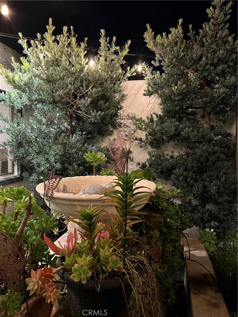 Niguel Shores Custom (NSC) - Residential Lease