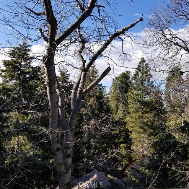 Crestline - Residential