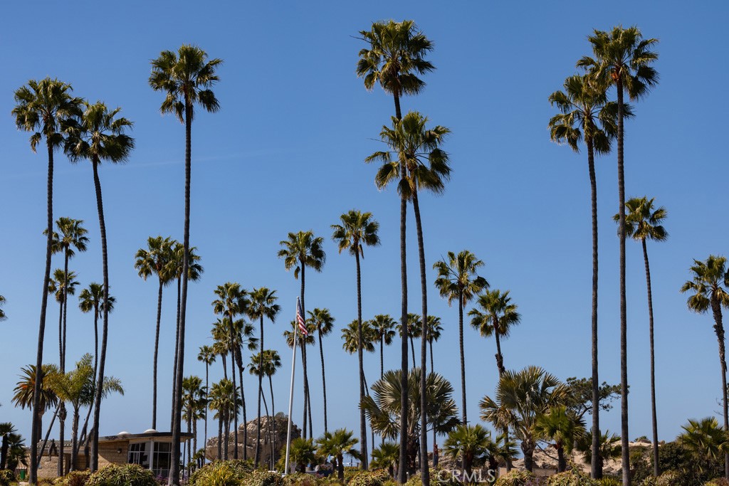 Corona del Mar South of PCH (CDMS) - Residential