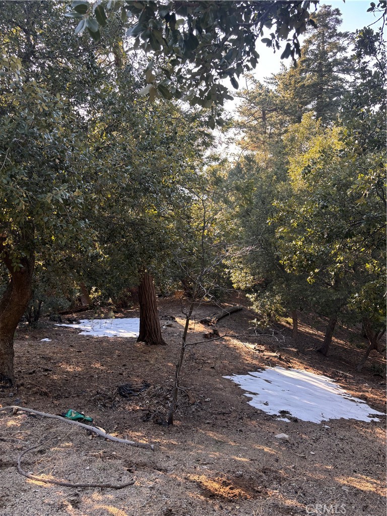 Twin Peaks (TWIN) - Land