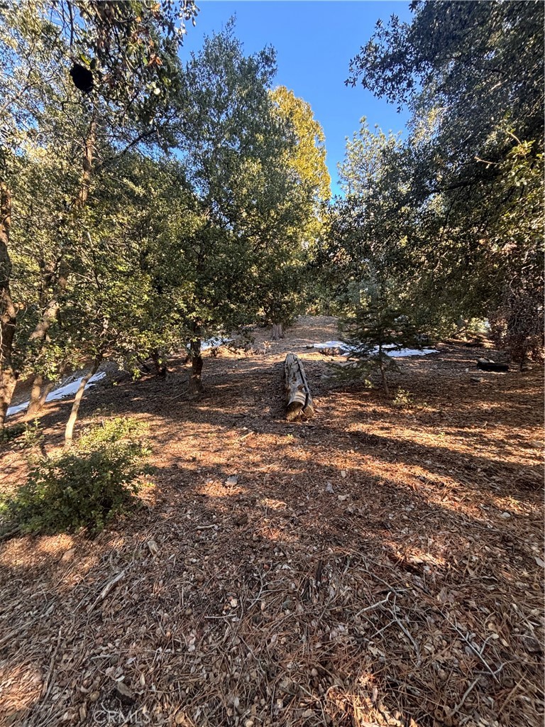 Twin Peaks (TWIN) - Land