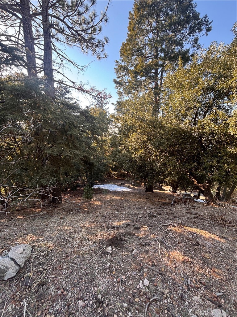 Twin Peaks (TWIN) - Land