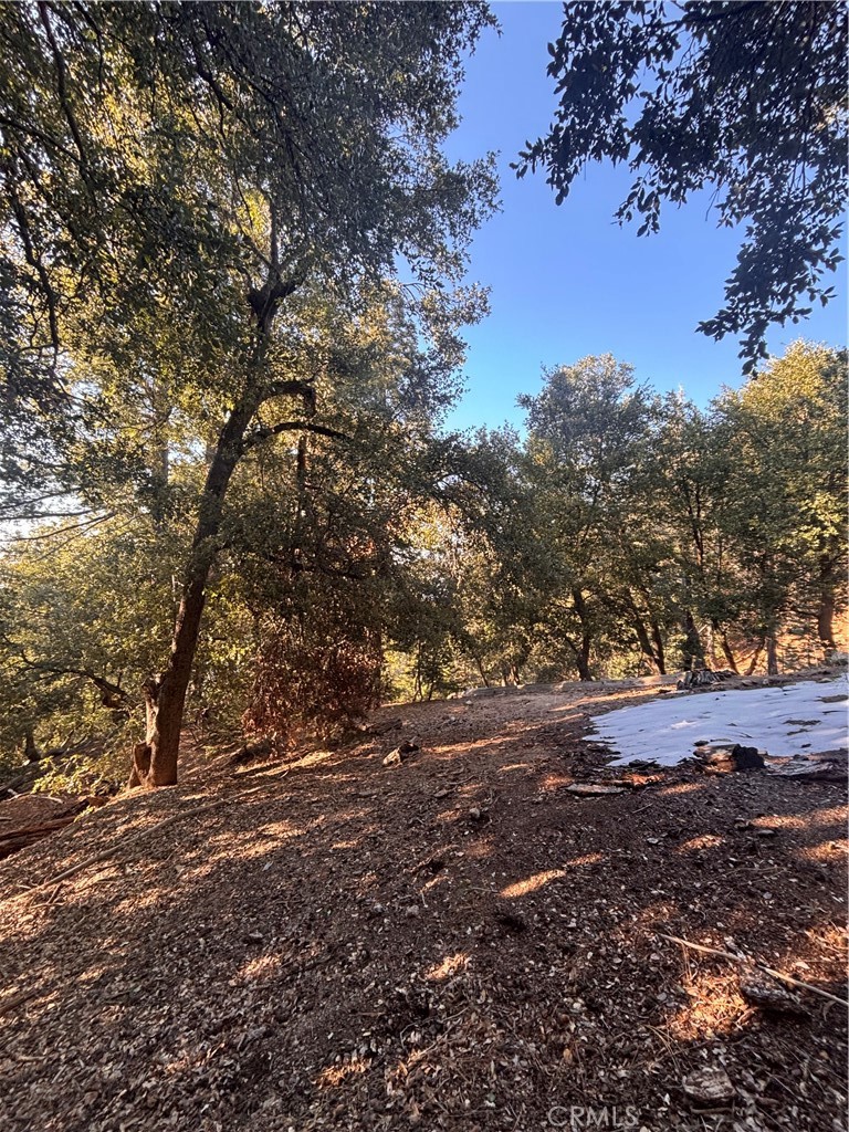 Great land opportunity nestled in the trees of Twin Peaks. This is a downward slopping lot on a county paved and maintained road. Utilities are conveniently located at or near the street. Great commuter location and situated between Crestline and Lake Arrowhead.