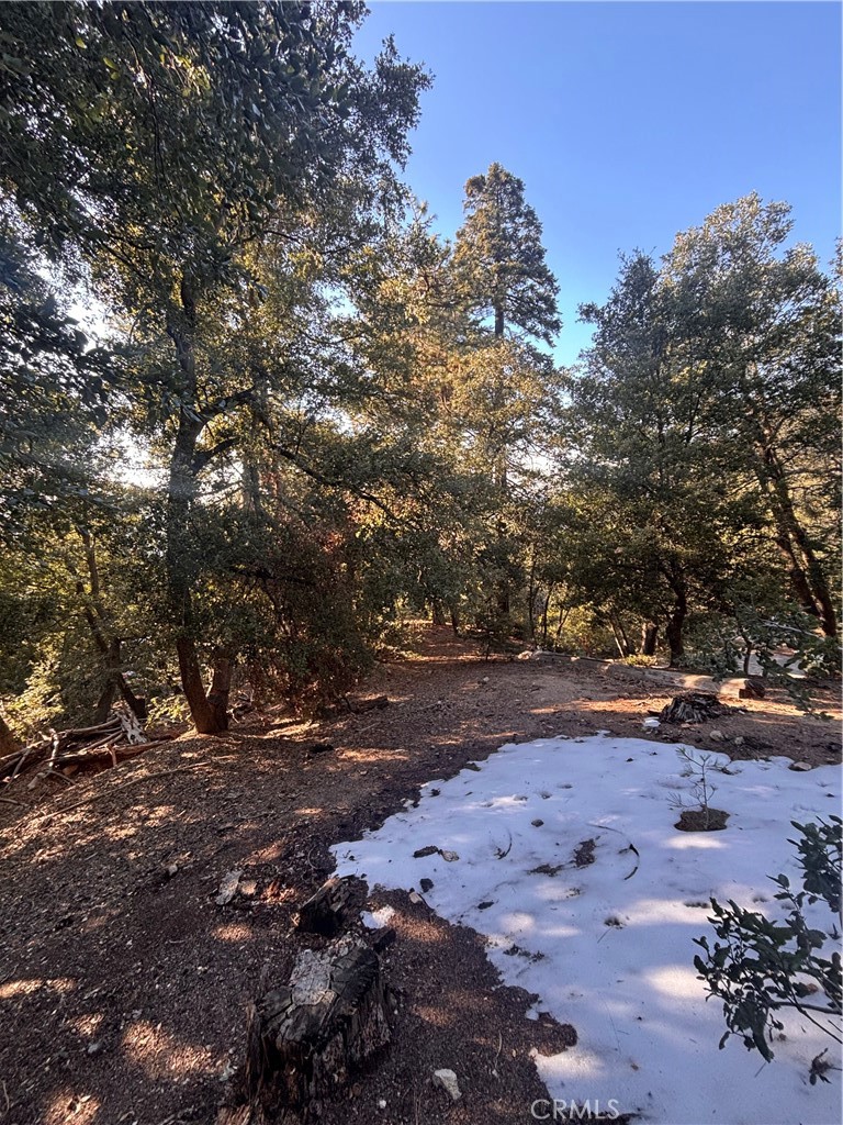 Twin Peaks (TWIN) - Land