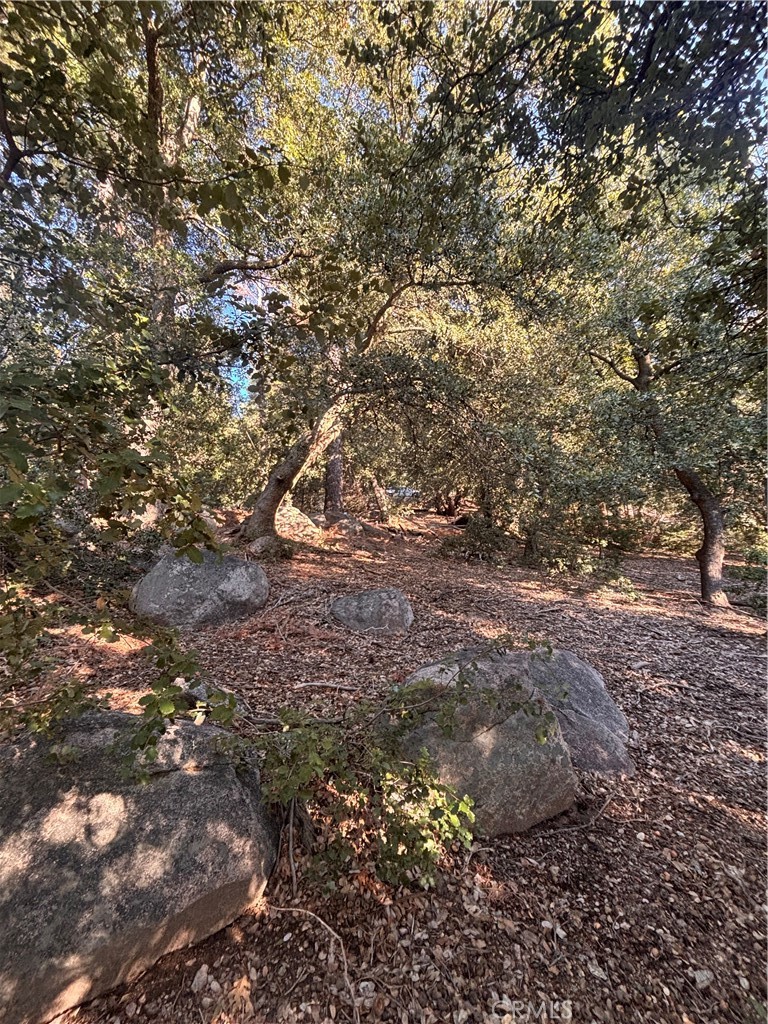 Twin Peaks (TWIN) - Land