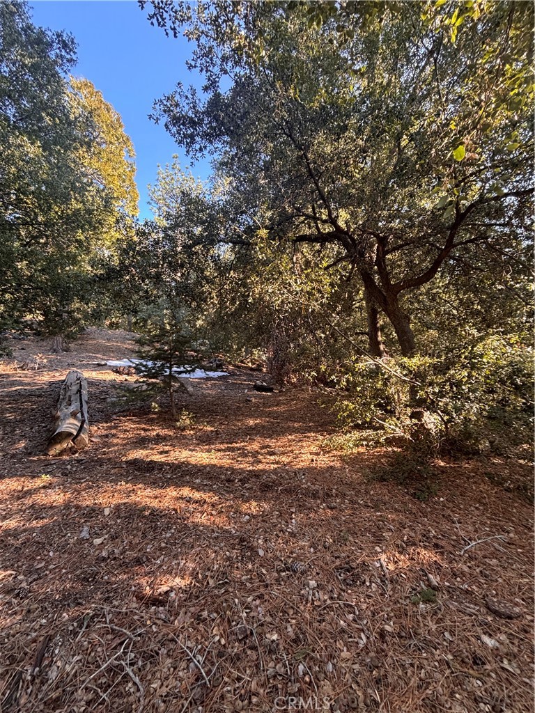 Twin Peaks (TWIN) - Land