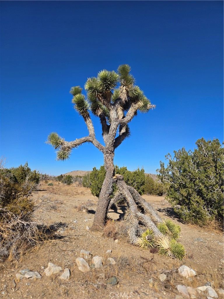 Great opportunity to own 3 parcels for a total of 7.5 acres with breathtaking views of the mountains and valley below. A serene getaway to relax in the afternoons and gaze at the stars at night. Each parcel has its own Assessors Parcel Number (3060-030-009, 3060-030-010, 3060-030-011) comprised of 2.5 acres each. Surveyed and corners marked. Water well drilled. Electricity down the road. Beautiful Joshua Tree, native fauna and flora color the desert. Much of the brush had been cleared and accessible land for growing, farming, green house, camping, or build your dream house! Of course, buyer to verify the accuracy of lot size, boundaries, dimensions and all permit information for use.