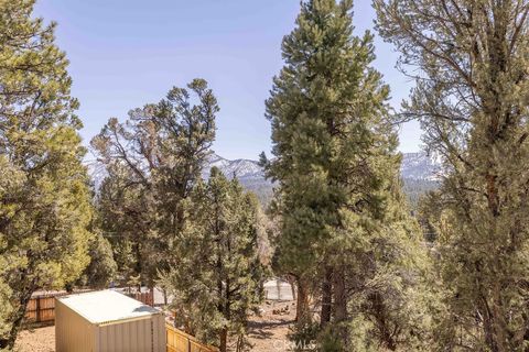 listing image 42