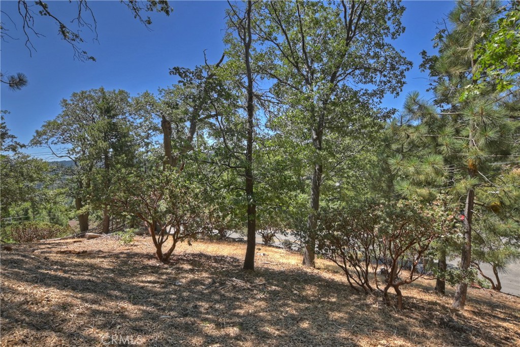 Arrowhead Woods (AWHW) - Land