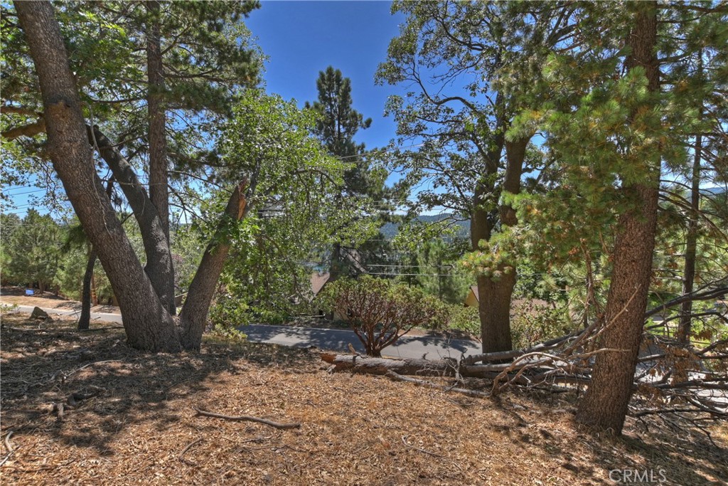 Arrowhead Woods (AWHW) - Land