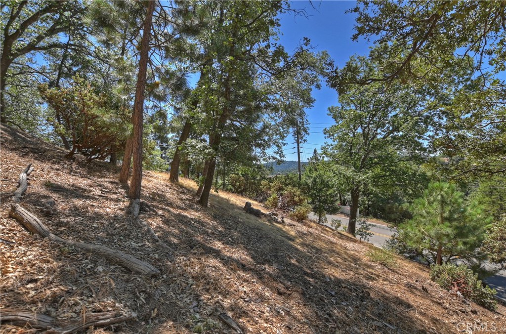 Arrowhead Woods (AWHW) - Land