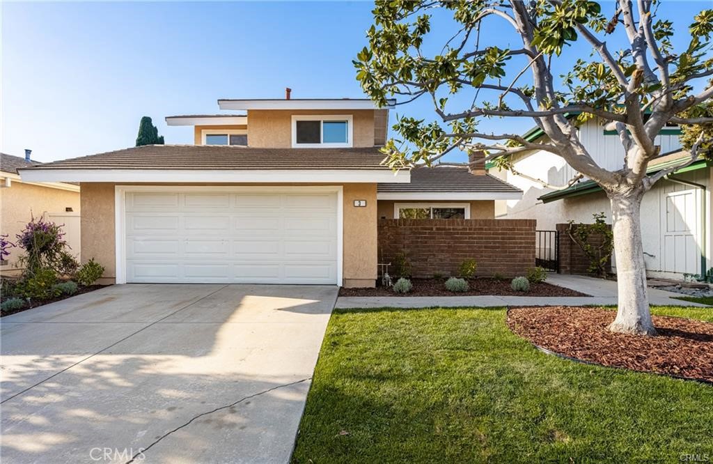 3 Elmwood