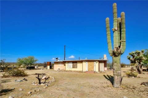 A home in Joshua Tree