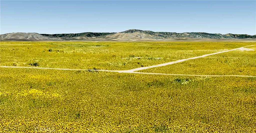 2.5 Acres FAR NORTH with VERY DARK SOIL and LOTS OF YELLOW FLOWERS AND GREEN GRASSES is an indication that there is very GOOD SOIL AND WATER for gardens and drinking. LOT TO THE SOUTH CANNOT BE BUILT ON-OPEN SPACE EASEMENT. Views are the nearby West Hills and lake. Hunting in BLM property. Area allows for off road driving or motorcycles. Bring your horses, cows, goats. Great for a getaway or build your dream home. Manufactured homes okay. Address Number estimated-USE MAPS FROM AGENT ONLY 35.322608, -119.959792 APN 083-361-062