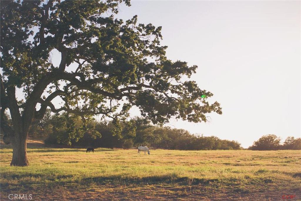 Amongst the finest ranches in California and the gem of the Central Coast, Estrella Ranch encompasses over 21,000 acres. Situated in rural Paso Robles where the skies seem bluer and the stars appear brighter, this offering presents the chance to procure a ranch with historic reputation. Estrella Ranch is a year-round cattle operation with a carrying capacity of 625 cows and 30 bulls, plentiful water distributed through a sophisticated system, irrigated farm ground, and abundant recreation, improved with numerous homes, ag buildings, and elaborate equestrian facilities. The second largest ranch listing in California today and the only of its kind, Estrella Ranch presents a once-in-a-lifetime opportunity.