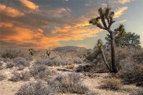 Photo of 48400 Madison Road, Pioneertown, CA 92268 (MLS # JT23024069)