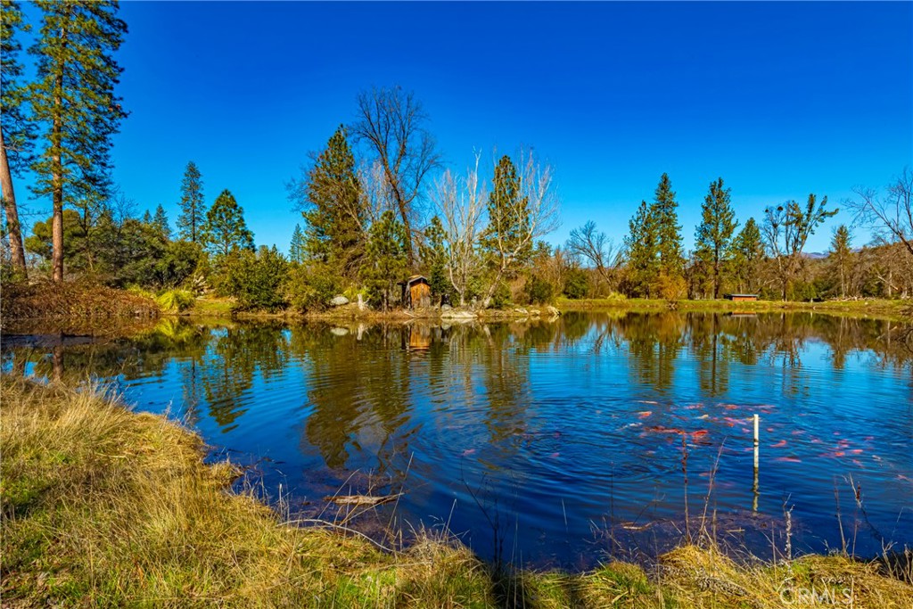 Welcome to a piece of paradise! Immerse yourself in the beauty of nature with mature trees, open land and the calming presence of your shared pond. This land provides a canvas for your ideal dream home. 4.53 acres of usable land with your barn already built in 2003. The Castlebrook barn was built with additional roof support for snow load. It's a four stall configuration with one being used as a hay room, another with cabinet, sink and overhead light, this room serves currently as a tack room. The other two stalls are used for horses. The concrete foundation is 24 x 36 and the barn has been permitted. You have a 50% interest in a shared well, with recorded well agreement. The pond is currently full and will change with water/weather conditions. The pond has some fish owned by your neighbor, no fishing allowed but bring your canoe or paddle boat to relax and enjoy your piece of heaven. Great location with easy access to Oakhurst, plenty of access to shopping and schools and Yosemite and Bass Lake.