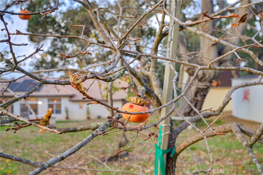 Nipomo(340) - Residential