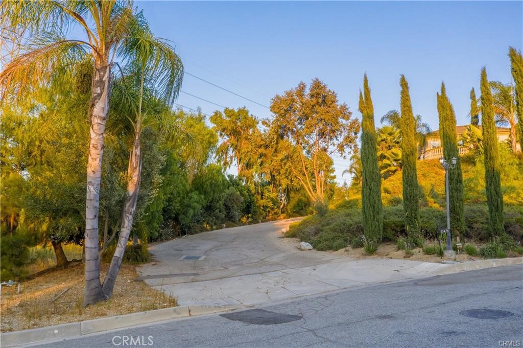15477 SKYLINE Drive