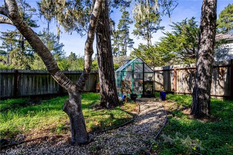 A home in Cambria