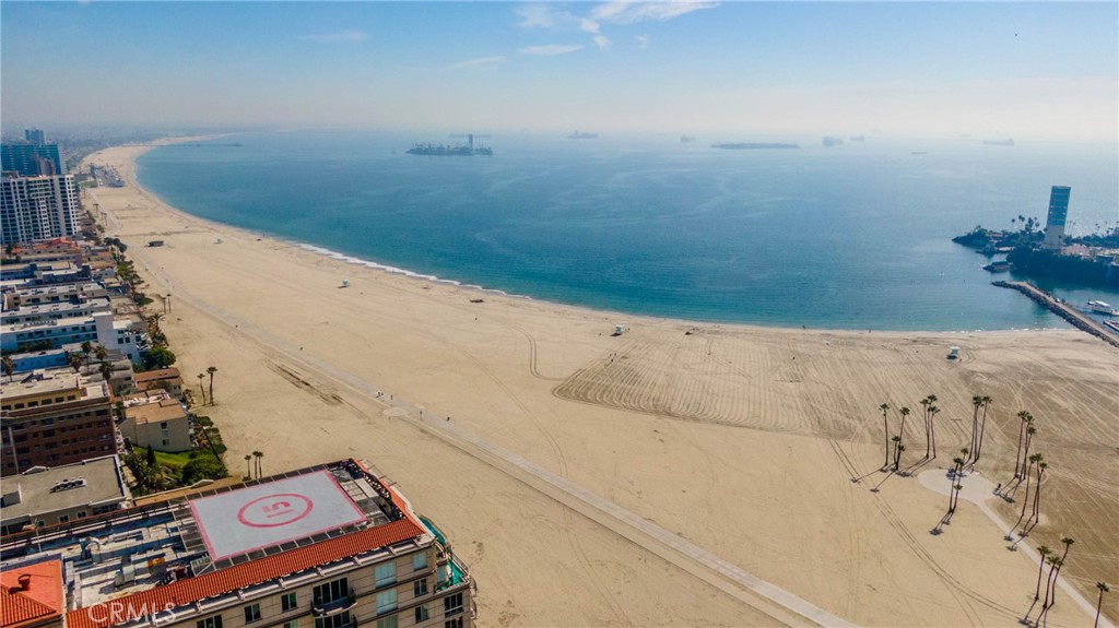 455 E Ocean Boulevard 1102