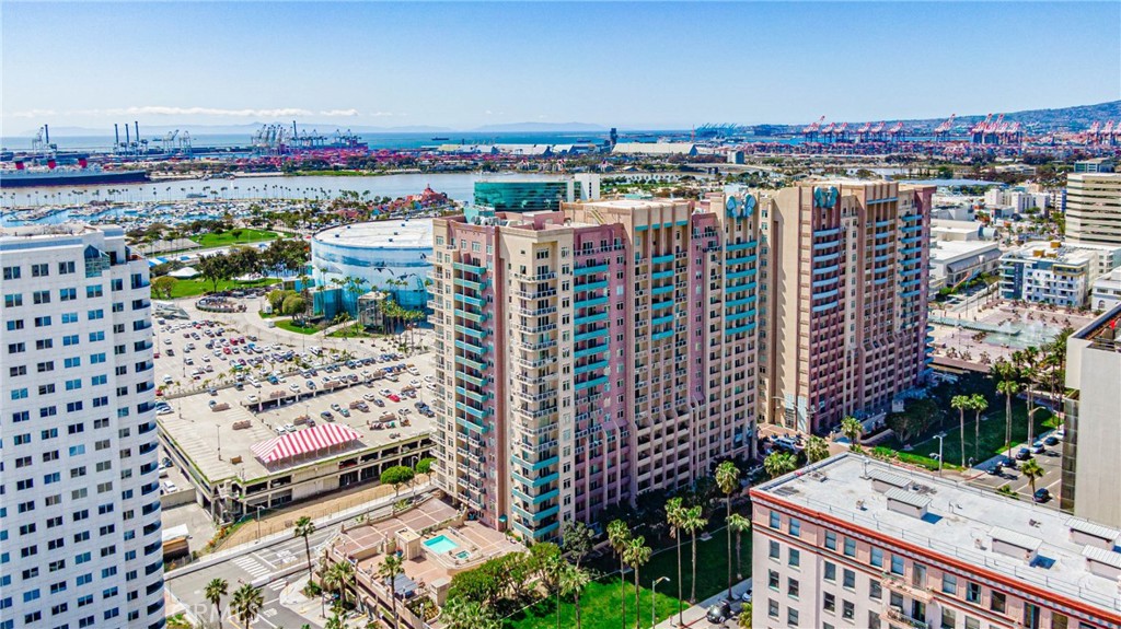 455 E Ocean Boulevard 1102
