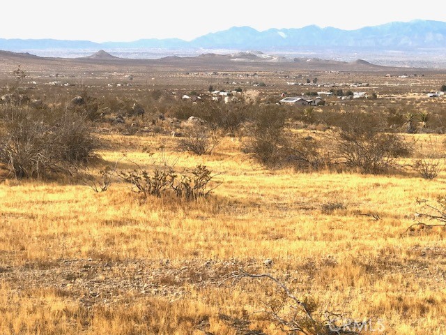 0 Sapota Road