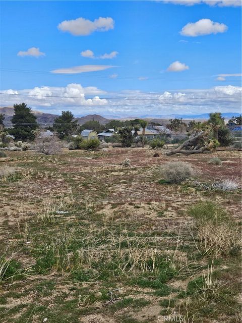 Photo of 60374 La Mirada Trail, Joshua Tree, CA 92252 (MLS # JT24046912)