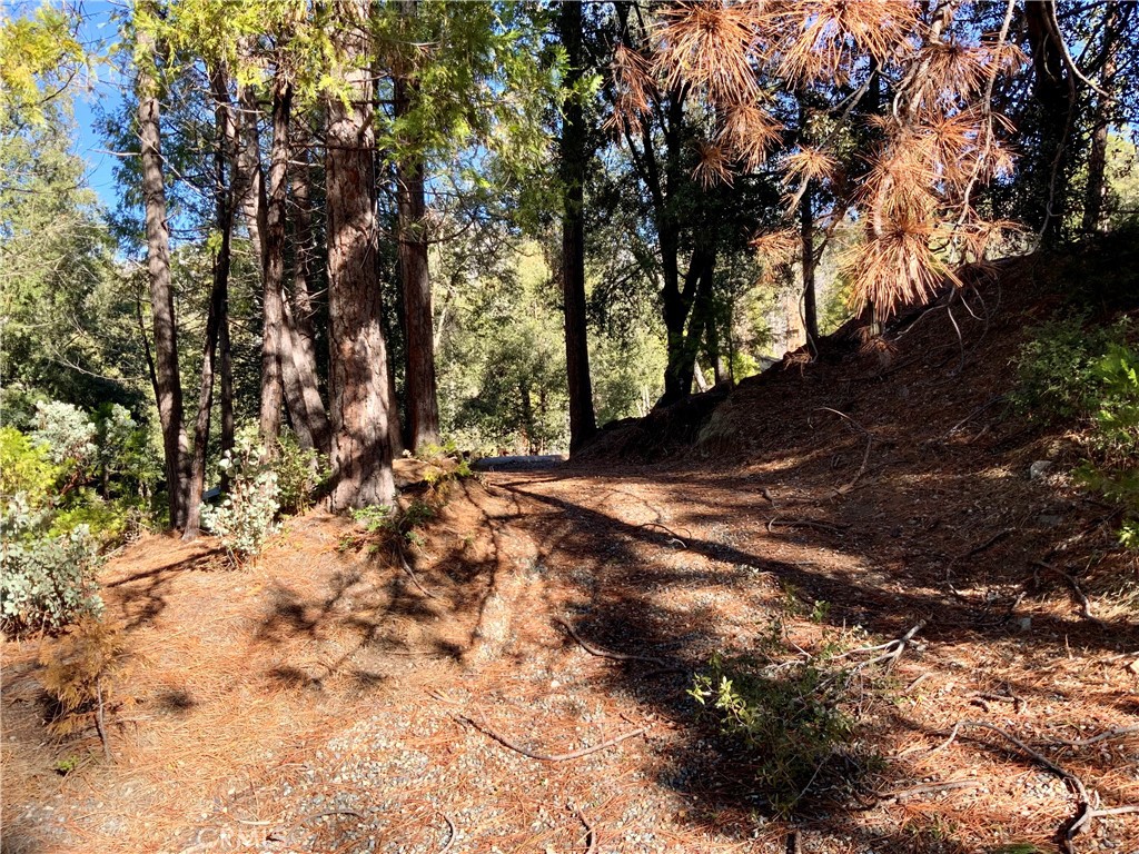 These 0.6 acres nestled amongst towering pines and cedar, located in the desired vacation spot of Cedar Valley is primed and ready for you to build that vacation get away or short term rental cabin. This property is bordered by the National Forest with brush and shrubbery cleared to take full advantage of the distant mountain views. Additional improvements include a brand new septic system, installed, two power poles, installed, grated driveway and house pad. Water is provided by a community well with two 2600 gallon storage tanks, installed. A few short minute walk leads you to a private lake shared amongst the neighborhood. Less than 15 minutes from Oakhurst for your shopping and dining convenience and just 10 minutes to the south entrance of Yosemite National Park make this location the ultimate in serene mountain living. Complete cabin house package, including materials, with supplemental engineered drawings and plans are available at an additional cost. Talk to the listing agent for additional information.