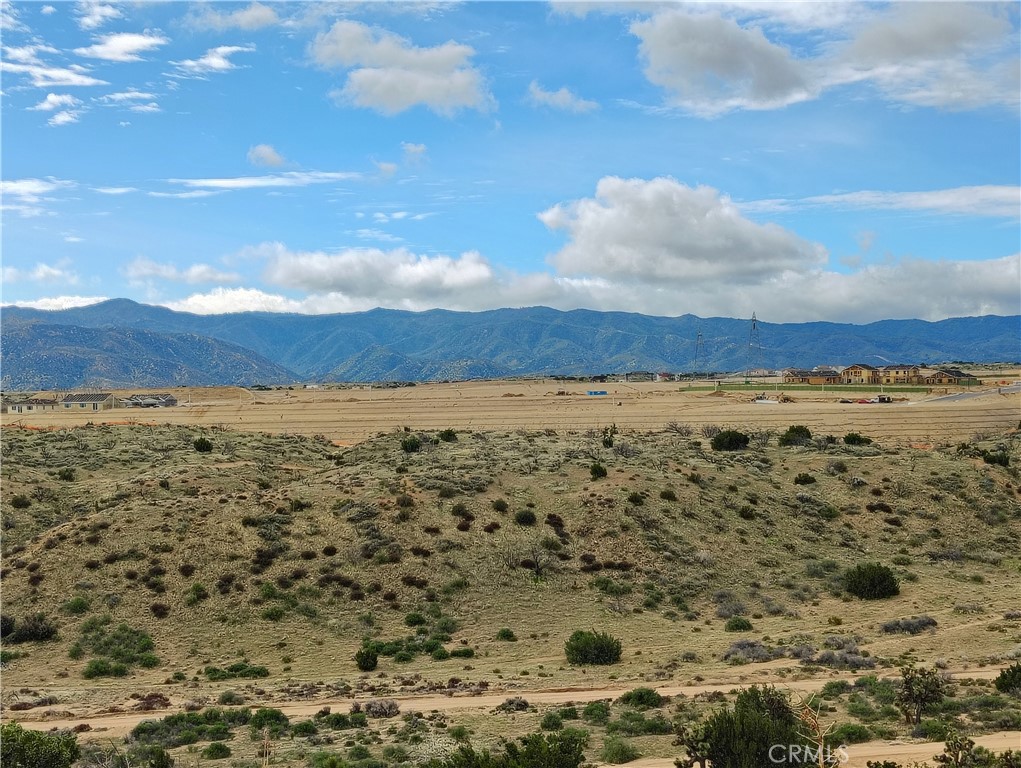 Come enjoy the tranquility of these two large parcels being sold together is beyond excellent. With just over 100.08 acres of land near the development site on the natural extension immediately adjacent to the Tapestry project that is under construction now. Zoned Rural Residential Special Development (RR-SD). falls under the Summit Valley Sphere of Influence. The charm of rural living meets the potential of this vast landscape, creating a unique opportunity for those seeking a serene lifestyle. To ensure a smooth process, buyers are advised to verify all utilities, zoning specifics, and potential uses, providing them with the essential information to transform this generous space into their custom masterpiece. Seize the opportunity to craft your vision in the tranquil beauty of Hesperia! No soils reports, surveys, etc., have been done. Buyer and buyer's agent to verify all information with the city or county for allowable uses and requirements and rely on their own investigations. **Buyer responsible for checking zoning, utilities, permits and exact property boundaries. Perfect to build your own ranch and take advantage of all the infrastructure they are bringing into the area. APN# 0397-062-09-0000 is 53.17 Acres & APN# 0397-062-10-0000 is 46.91 Acres and are selling together for $2,750,000.
